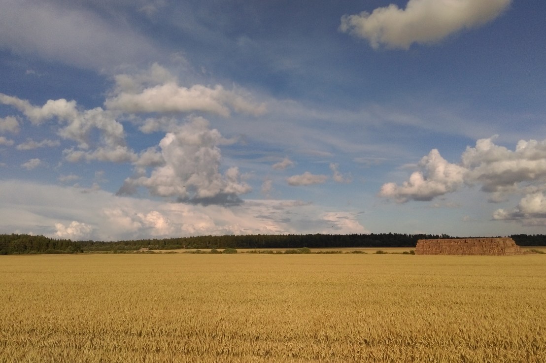 FERC Reorganizes OGC to Speed Landowner Rehearing&nbsp;Process